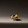Compressioni