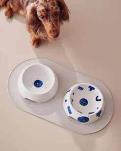 Itsumo pet Yunoki ware