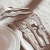 KnifeForkSpoon