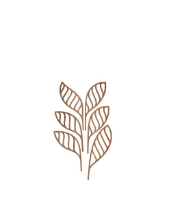 The Five Seasons