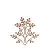 The Five Seasons